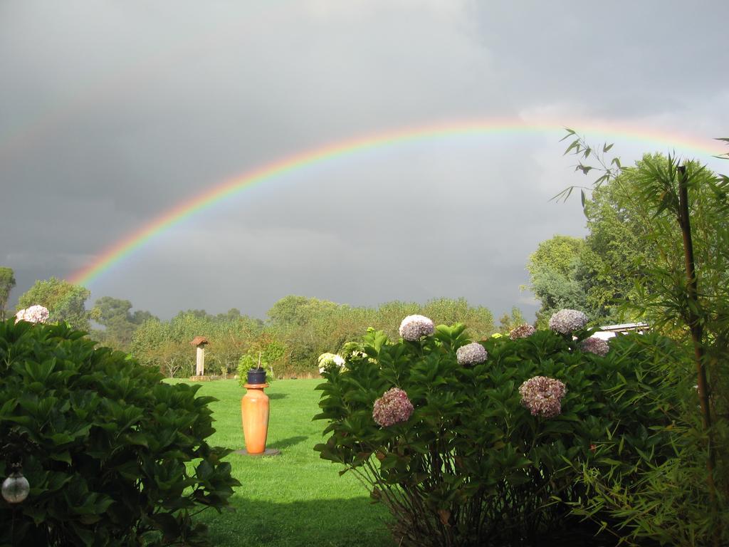 Regenbogen *